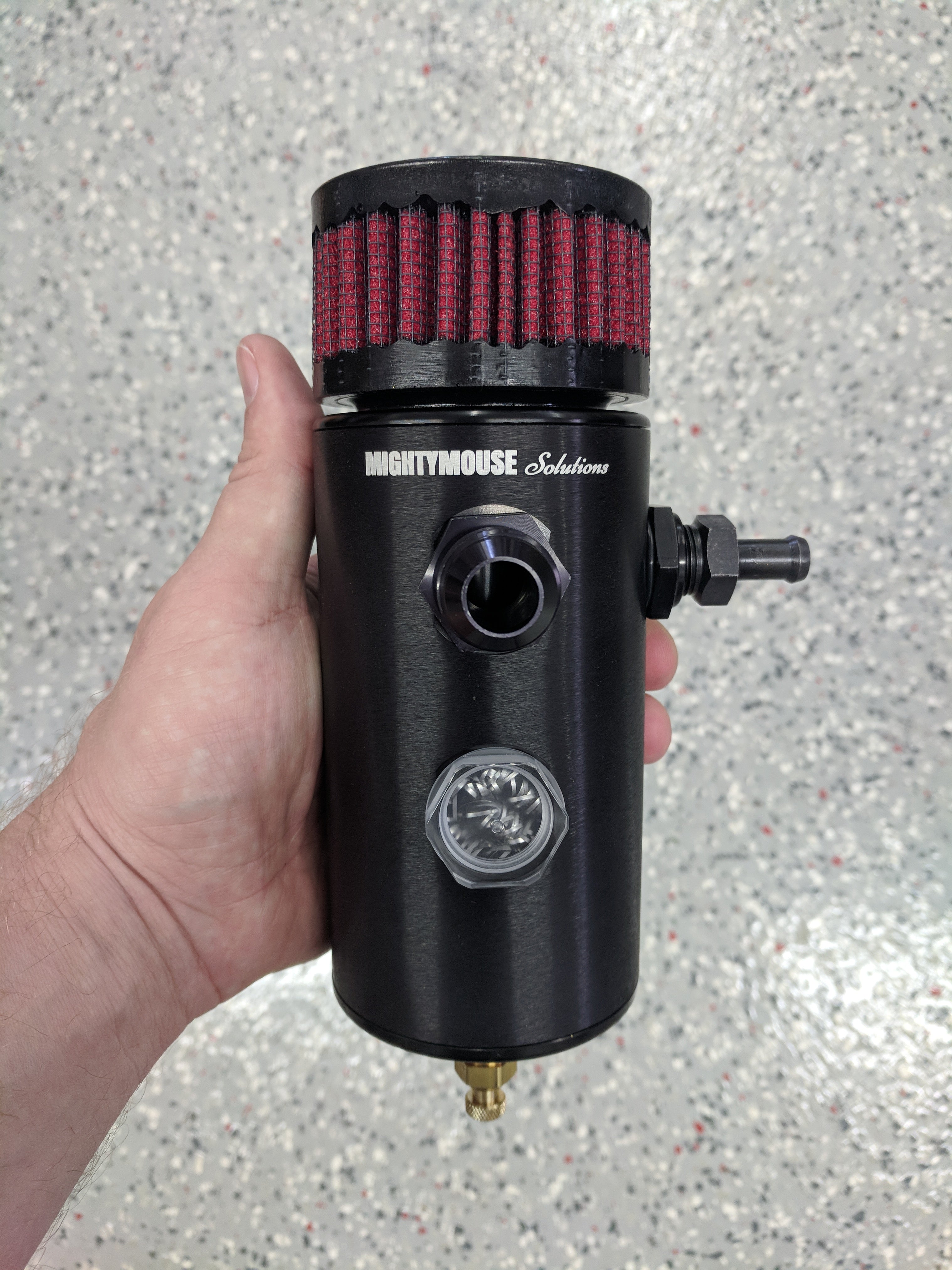 Ecoboost Mustang mild